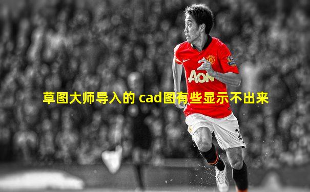 草图大师导入的 cad图有些显示不出来